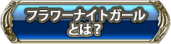 フラワーナイトガールとは？